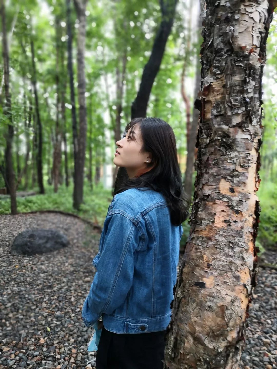 学院介绍大家好我们是来自法学与犯罪学学院triple a 组合的沈妮莎