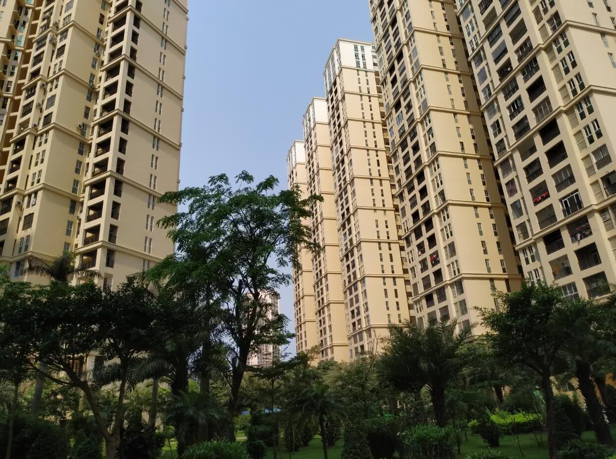 北海的"塔楼"和"板楼"相比,有什么区别?不懂就不要乱买房_房子