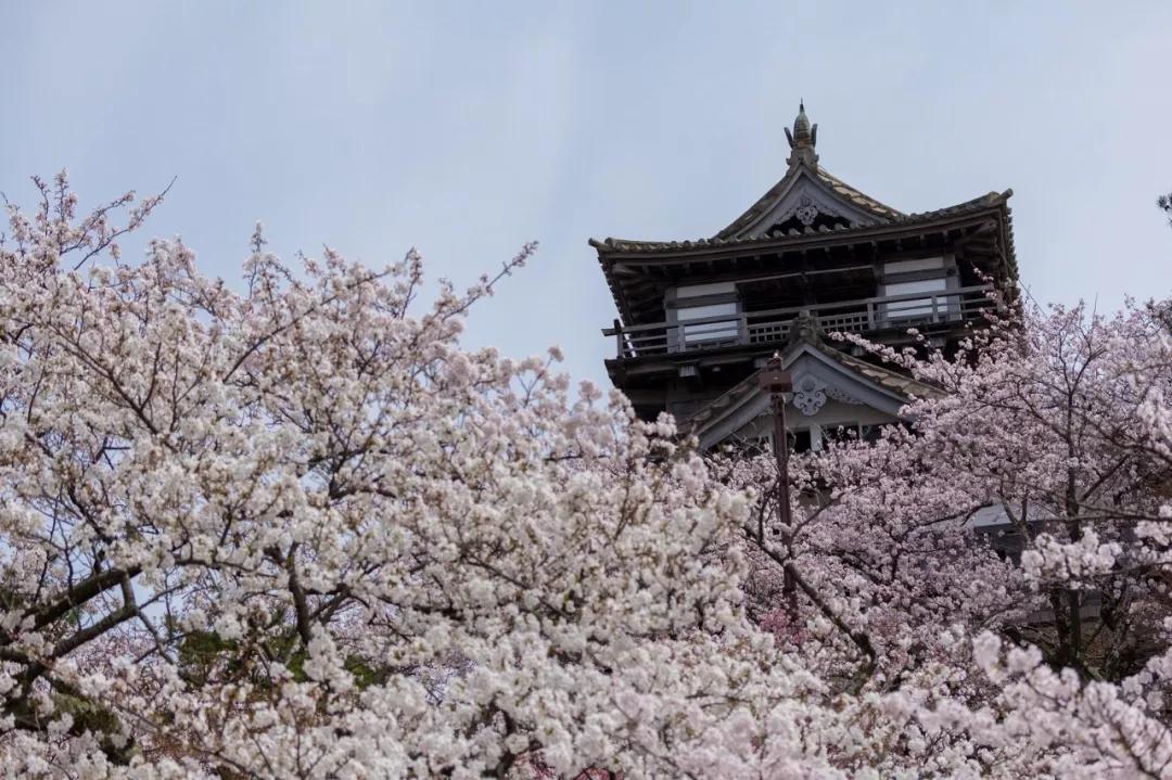 福井县一个被誉为日本最幸福的地方