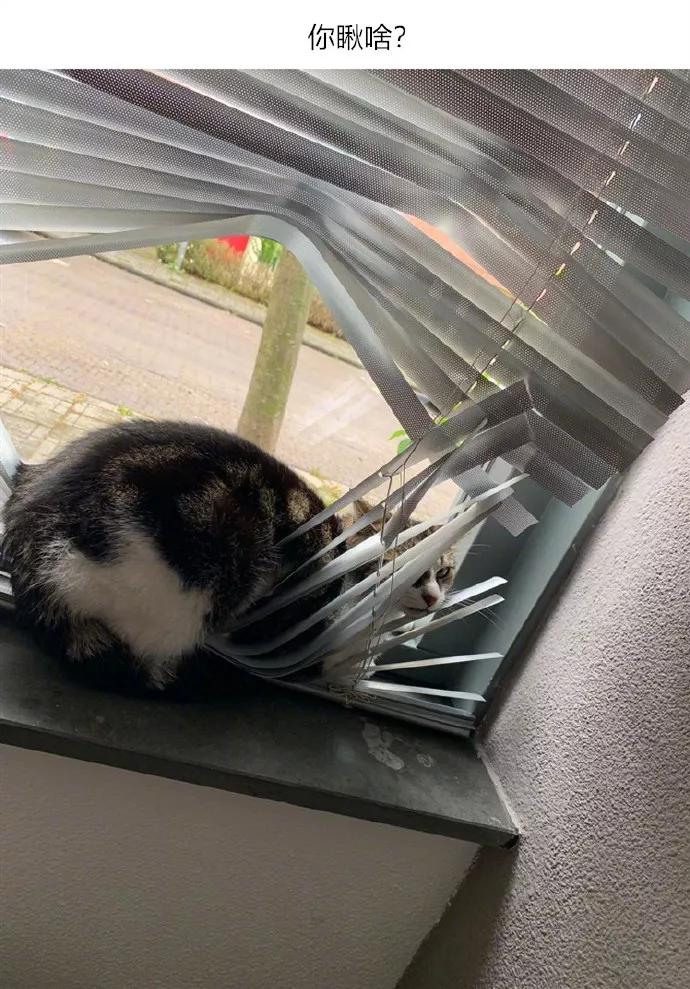 图片[20] - 【xizi被窝段子20191203】不要抱怨生活对你不公平 生活压根就不知道你是谁 - xizi