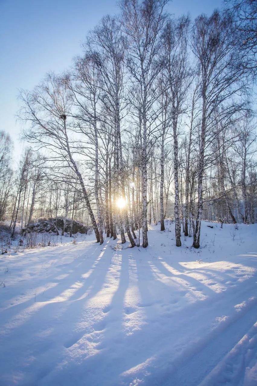 呼伦贝尔草原雪景图片图片