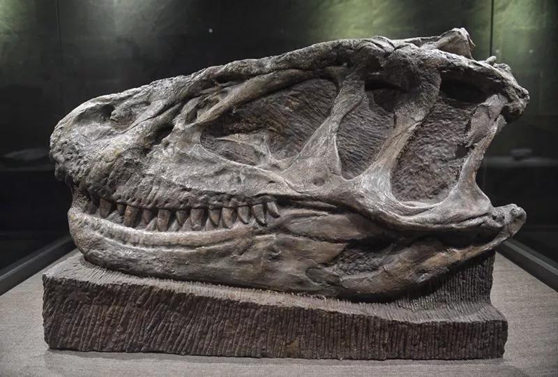 千年盐都域涧臻著悦予美好