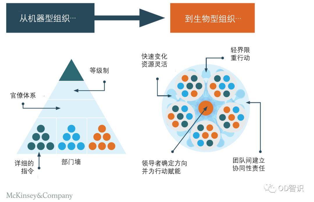 麥肯錫判斷你的組織是否敏捷的五大標誌