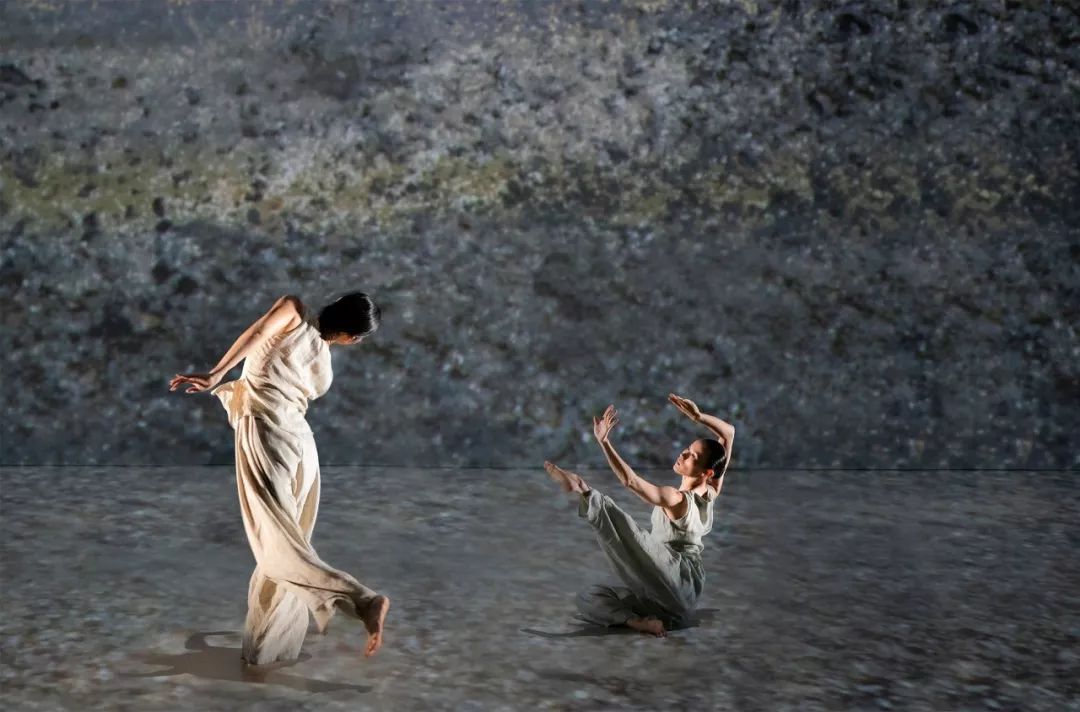 互换身体和灵魂的舞蹈风暴本周刮到家门口内含福利