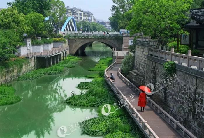 溧阳洙汤桥有人从船上落水至今还在打捞一洒水车居然开花坛上了城市