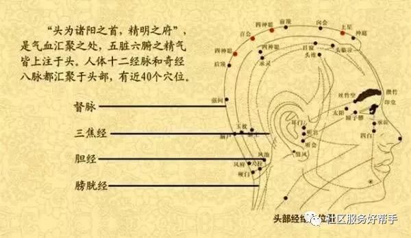 足少阳胆经头部图片