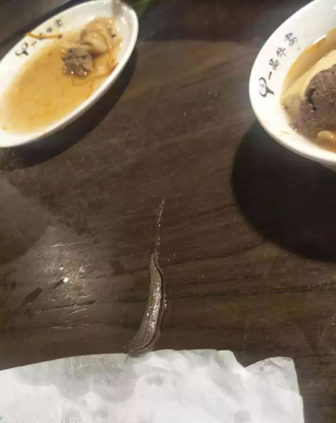 台州某火锅店,吃饭时蔬菜里爬出一条田溜溜,老实滑度.