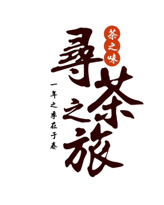 明前的安吉白茶一口销魂让你鲜掉眉毛忘了龙井
