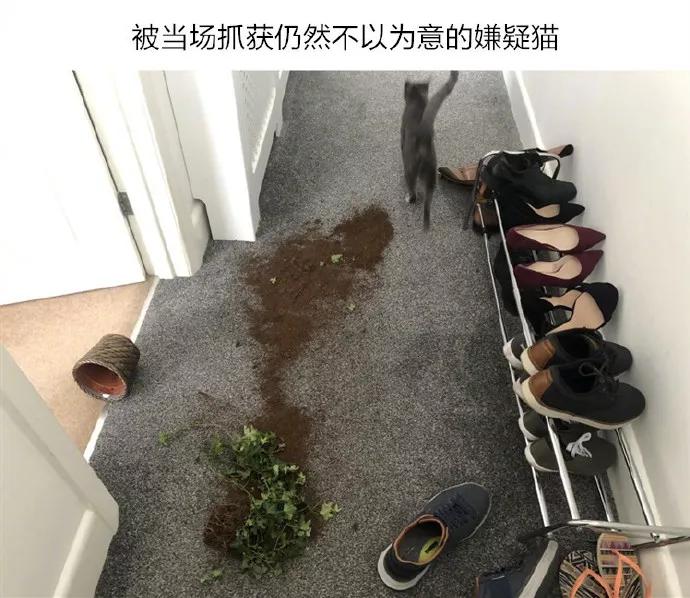 图片[19] - 【xizi被窝段子20191203】不要抱怨生活对你不公平 生活压根就不知道你是谁 - xizi