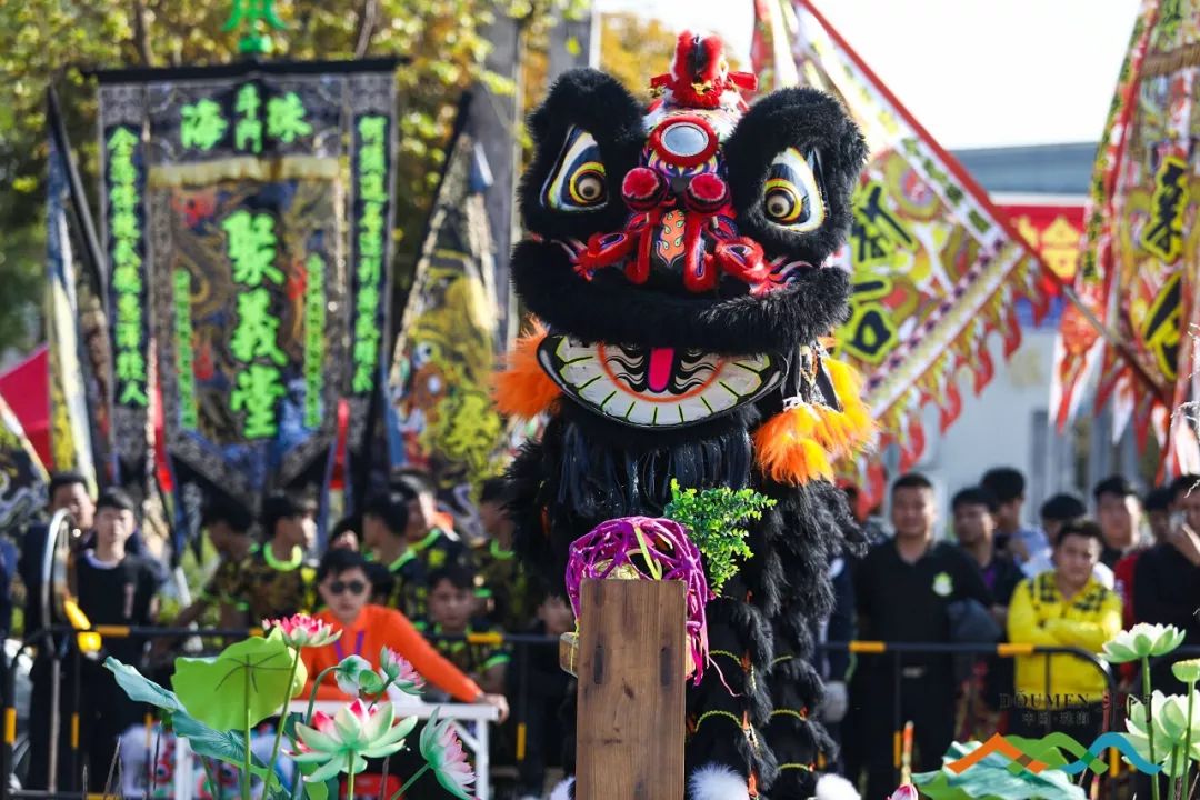 斗门"狮王"诞生了!来重温龙腾狮跃,群狮争霸精彩瞬间!