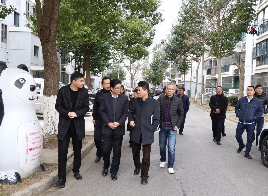 书院镇人大代表视察镇智能安防设施项目建设情况