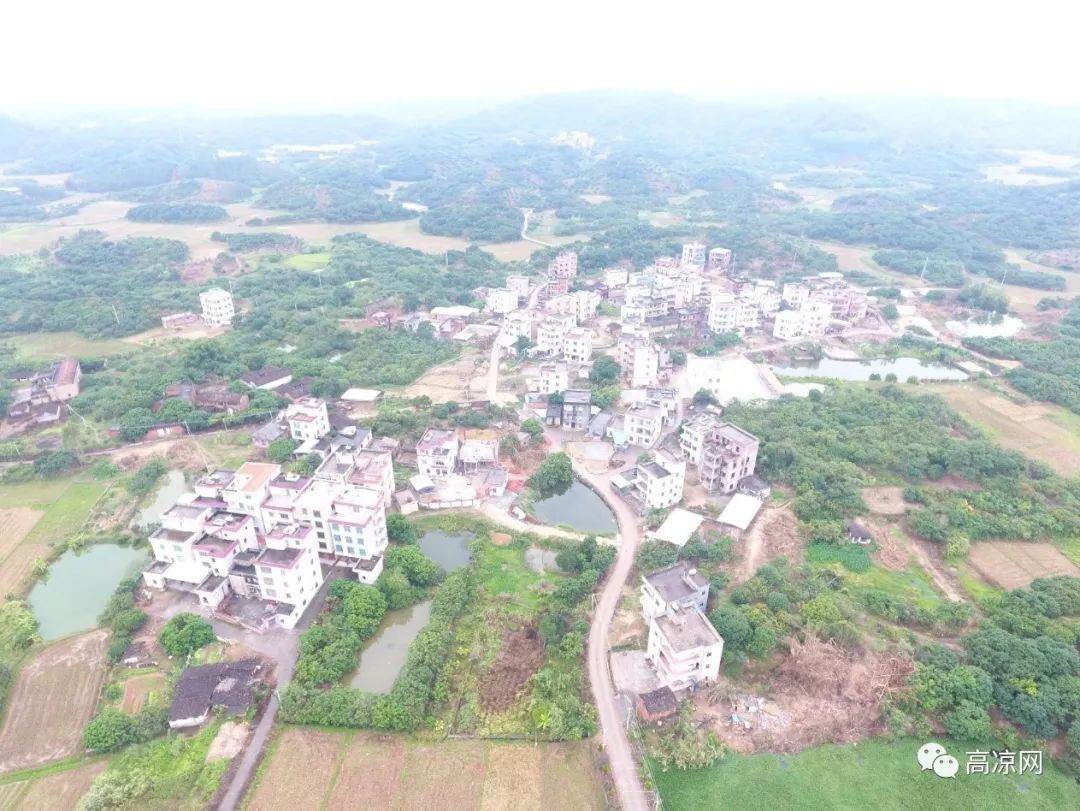 高州沙田镇桃栏村村庄规划打造万亩果林储良龙眼特色旅游村