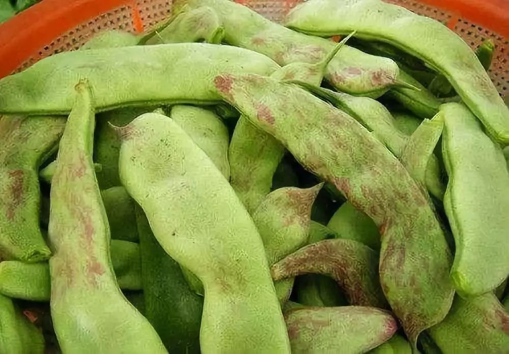 【提醒】谨慎食用东北油豆!