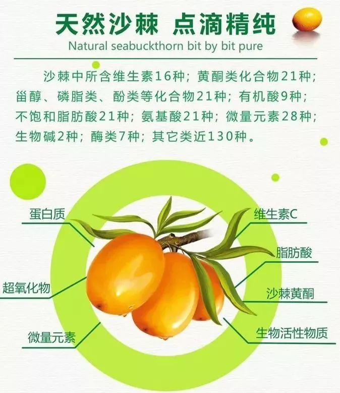 沙棘如何食用图片