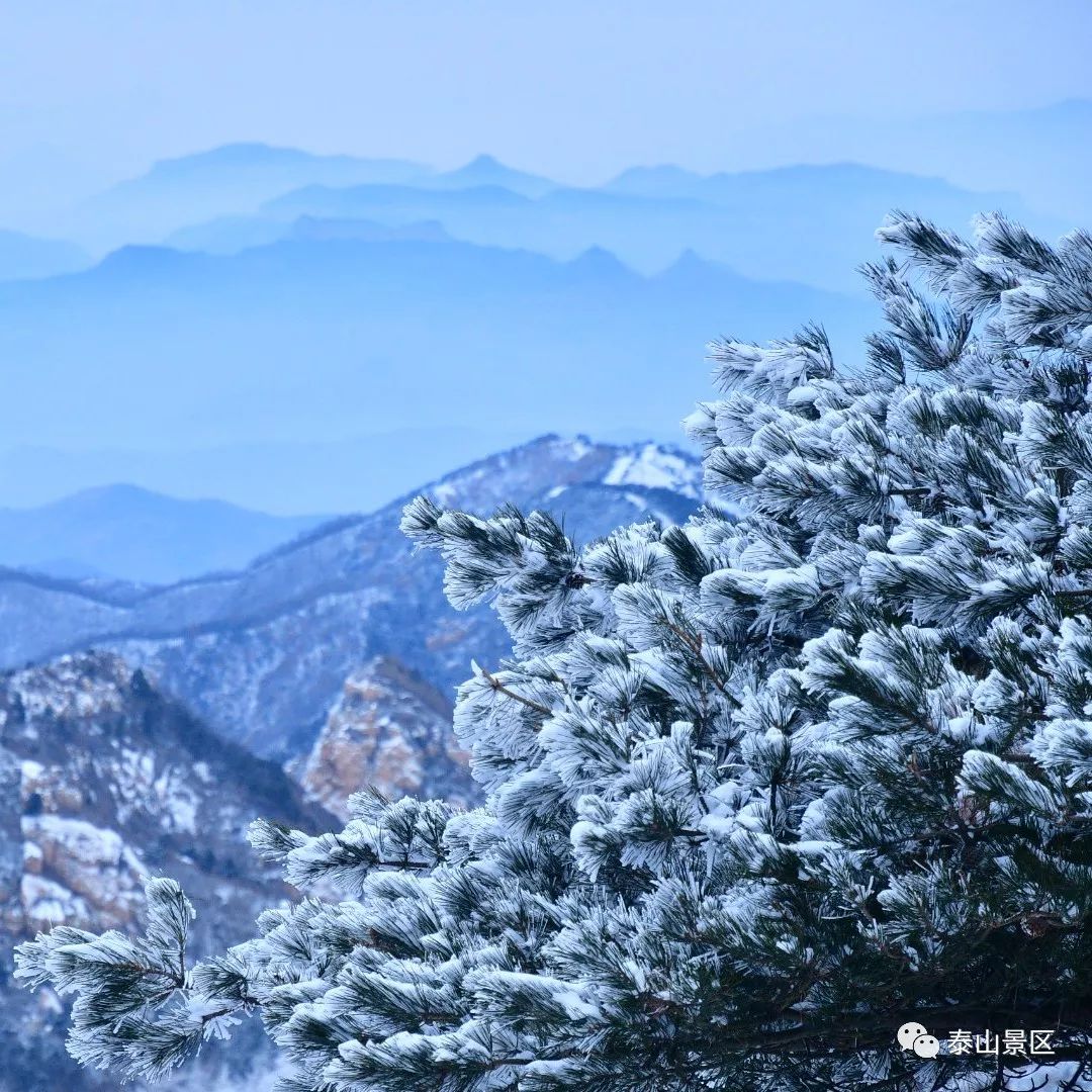 應是天仙狂醉,亂把白雲揉碎_冬日