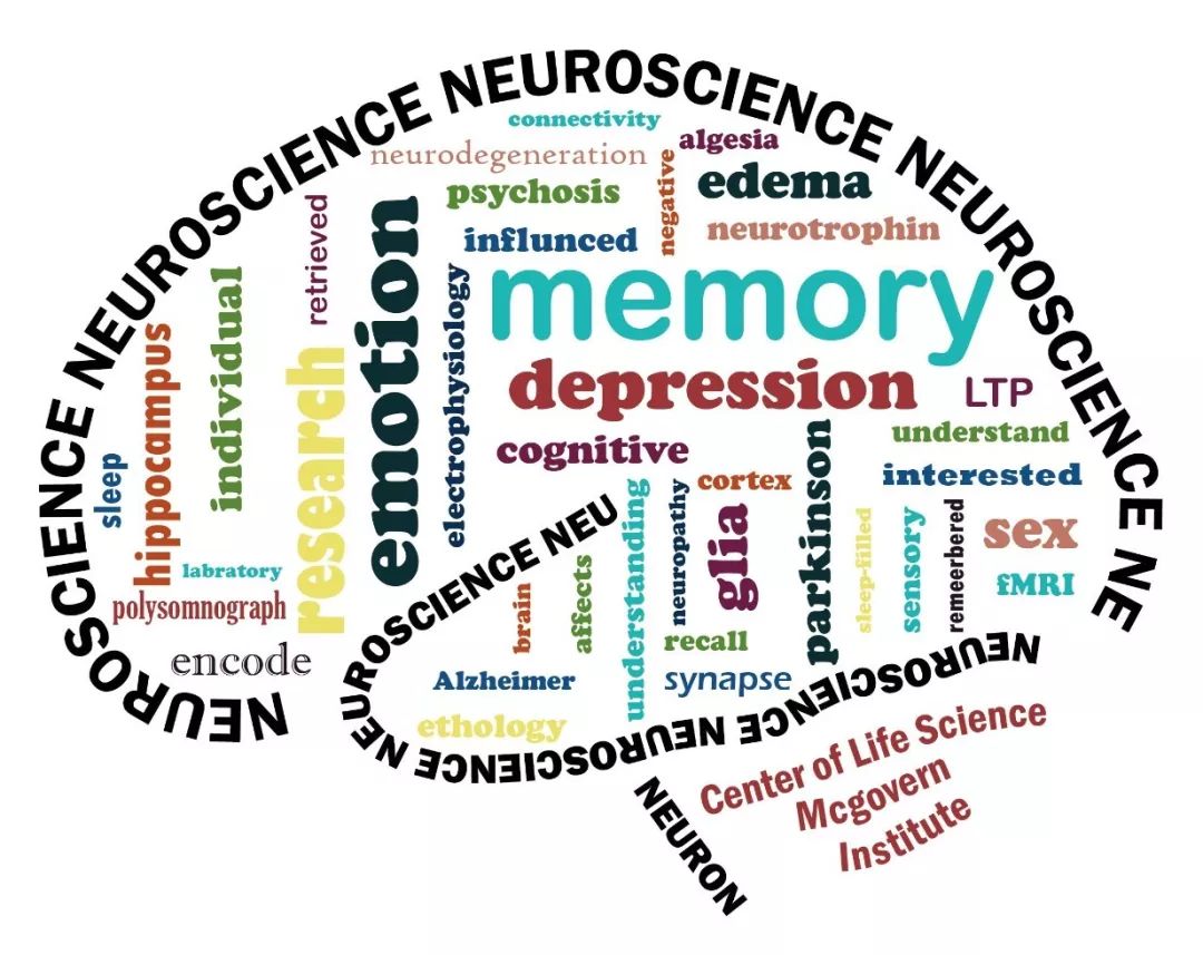 教育部废止中考考纲无考试范围时代真的要来临了头条