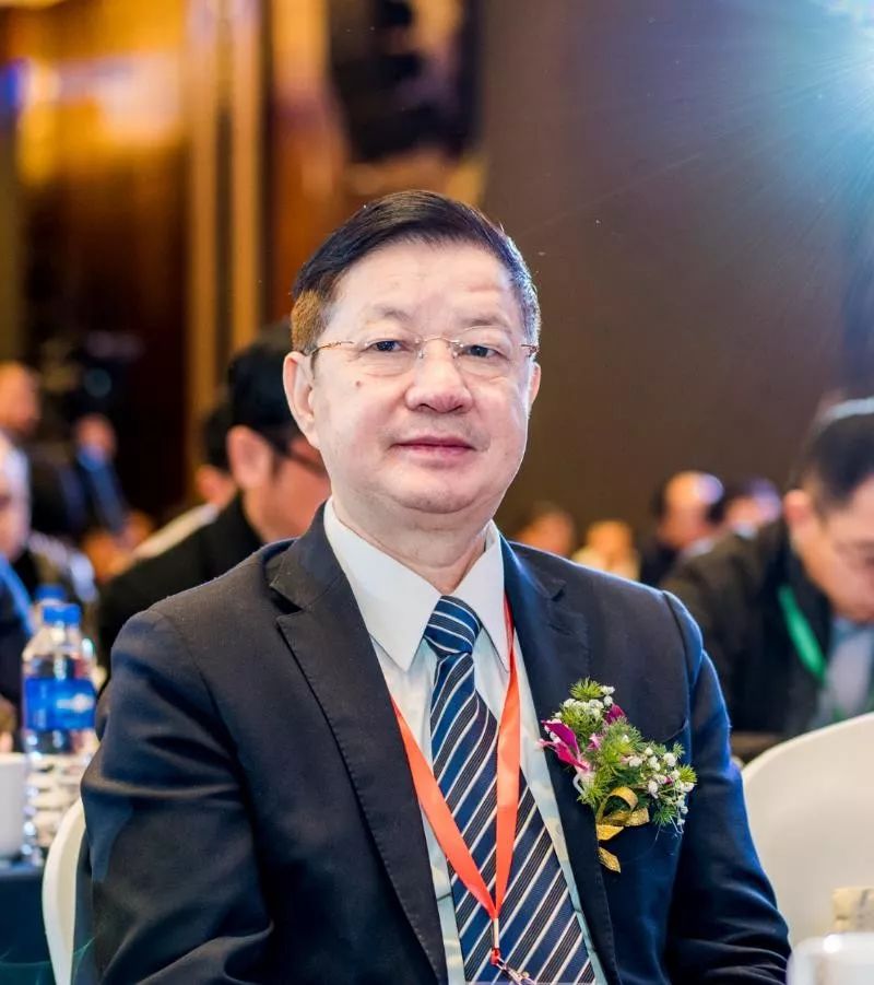 杨秀敏(左),梁文灏(右)中国工程院院士杨秀敏,梁文灏,杜彦良,陈湘生