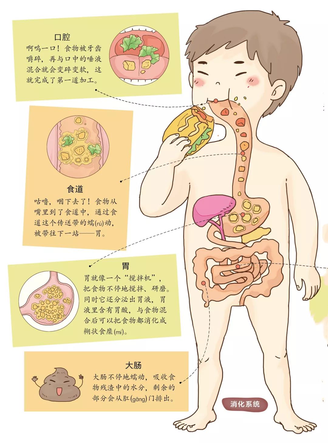 只有认识自己,才能更好自我保护|新书《我们的身体》_孩子