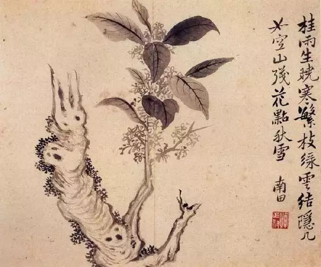 国画中的桂花别有一番韵味