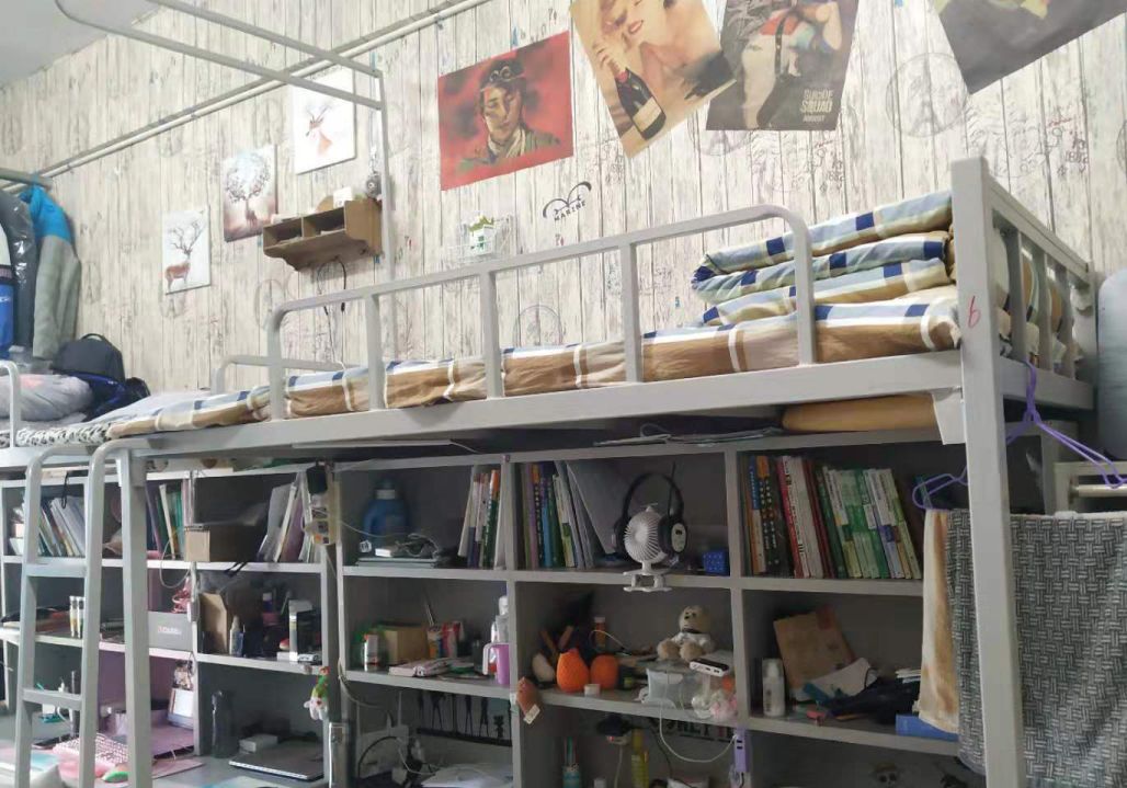 19级较差宿舍怀瑾楼-213报本楼-528报本楼-517报本楼-516报本楼-507报