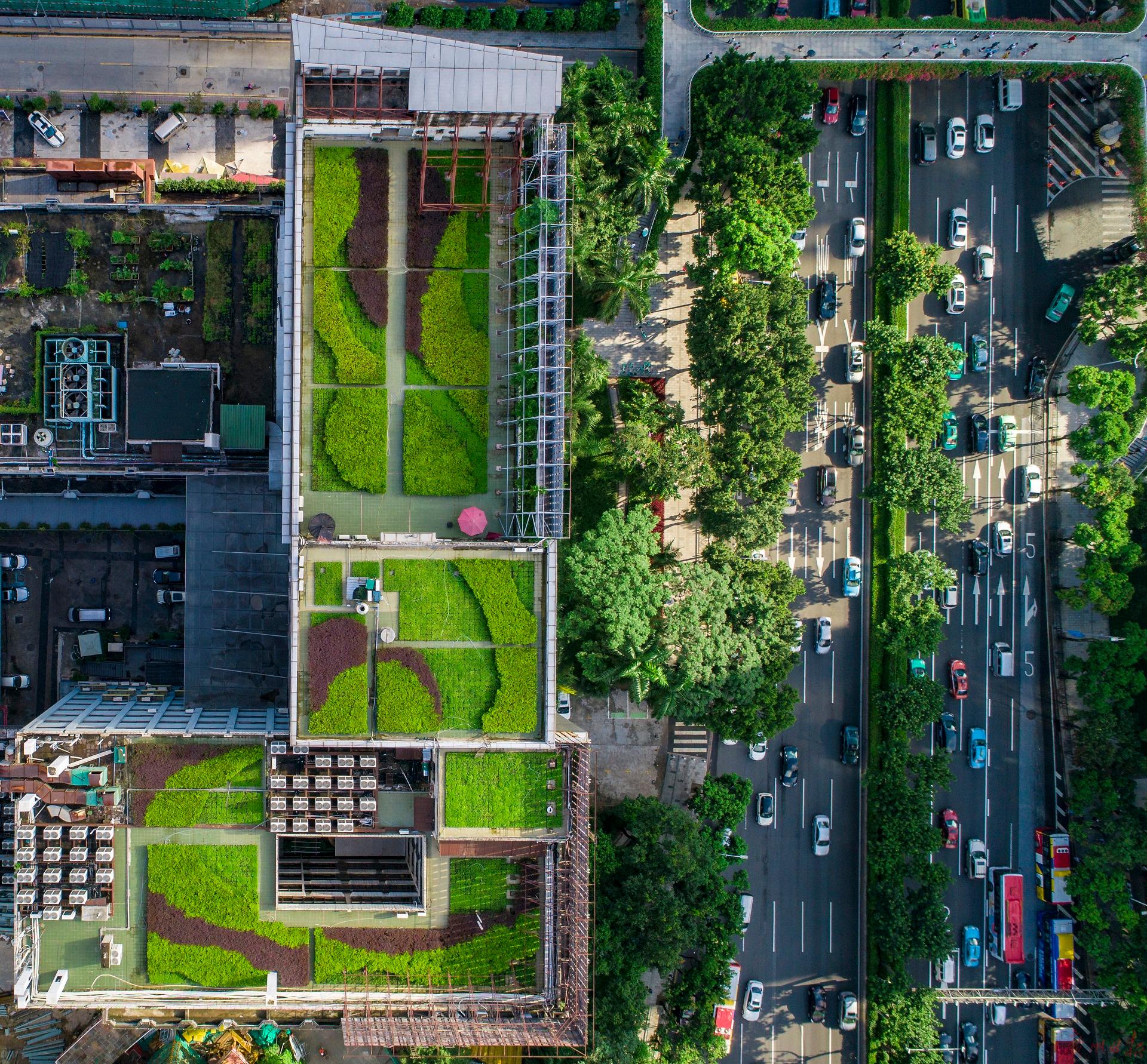 靓爆镜 | 空中花园_绿化