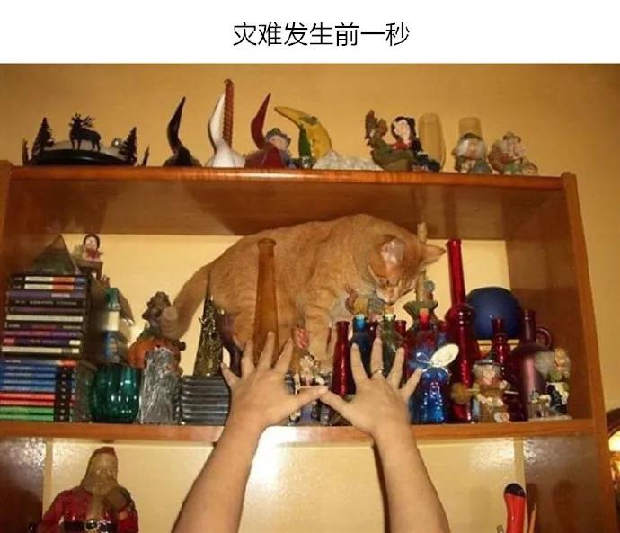 图片[18] - 【xizi被窝段子20191203】不要抱怨生活对你不公平 生活压根就不知道你是谁 - xizi