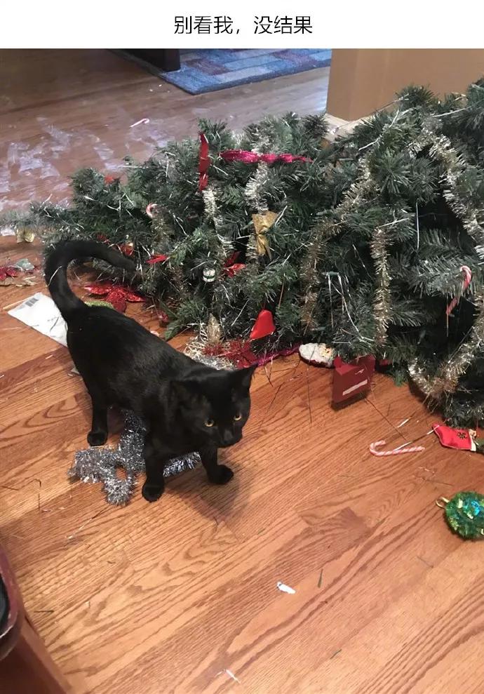 图片[16] - 【xizi被窝段子20191203】不要抱怨生活对你不公平 生活压根就不知道你是谁 - xizi