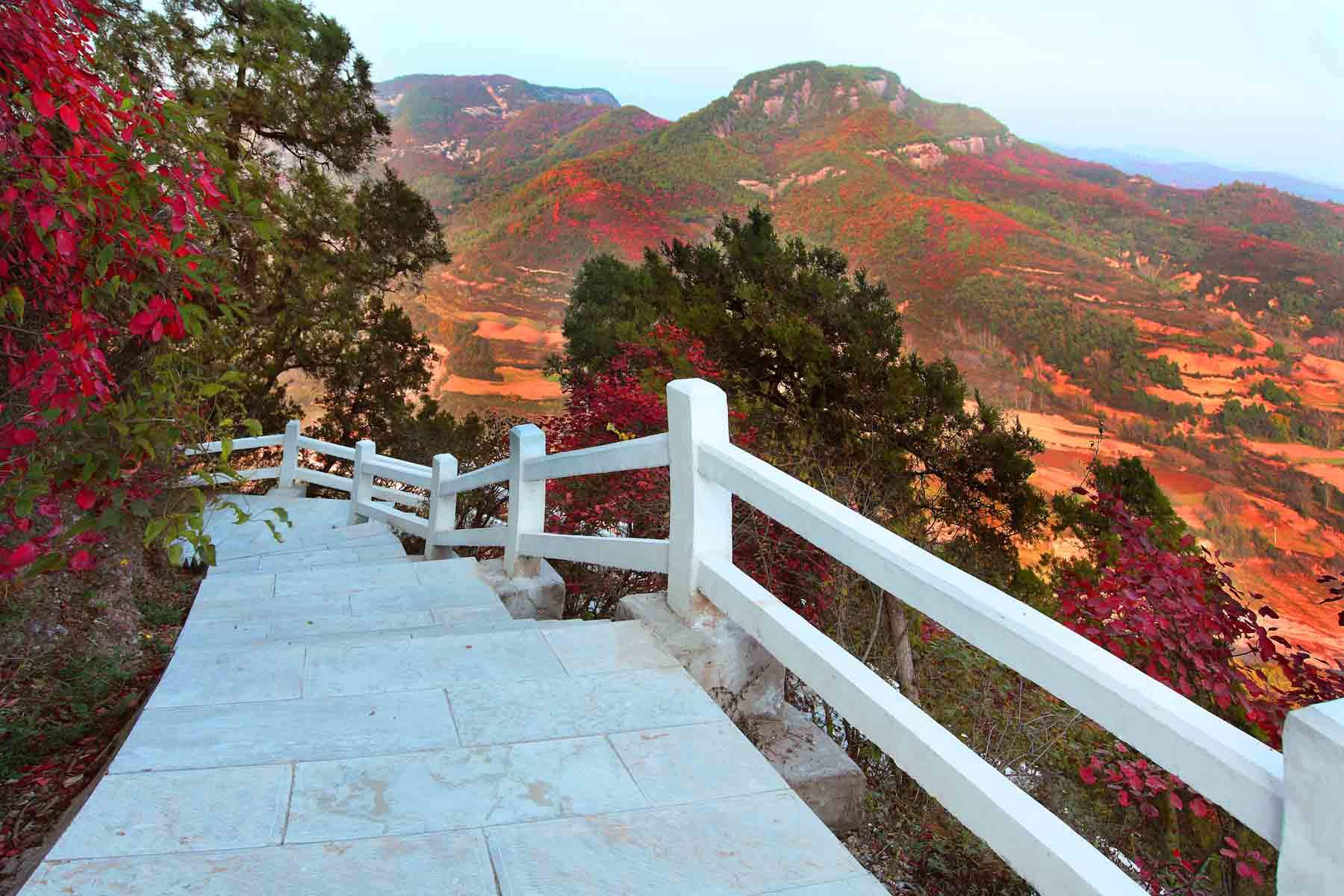 照金香山,唐玉華宮遺址等景點都是小有名氣很值得去參觀,大家有時間的