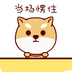 240_240gif 动态图 动图