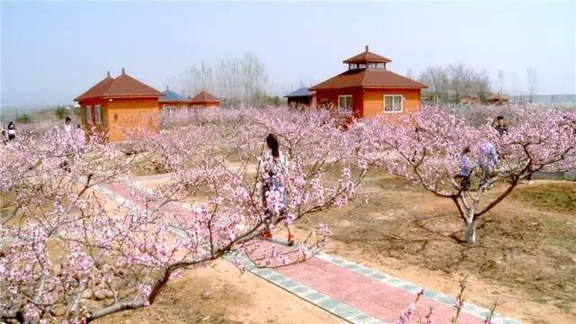 长葛市中万生态园,禹州市苌庄镇金山岭休闲观光园区入选2019年河南省