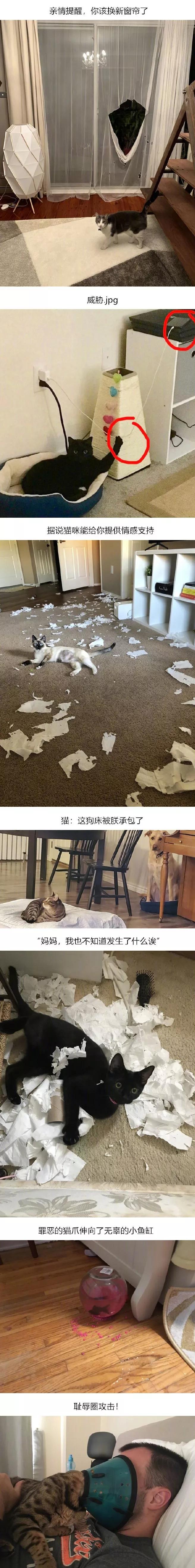 图片[21] - 【xizi被窝段子20191203】不要抱怨生活对你不公平 生活压根就不知道你是谁 - xizi