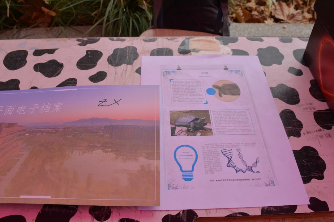 善晓先机生命科学与技术学院千生万象生命科学档案设计大赛顺利进行