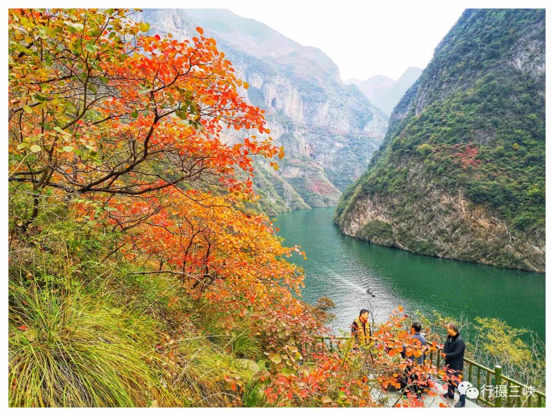 巫山小三峽紅葉美如畫