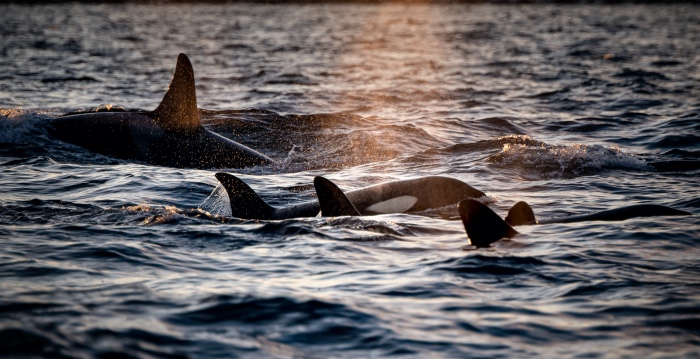乡镇家电经销商要相信自己，不要再被骗子忽悠了！-家电圈官网