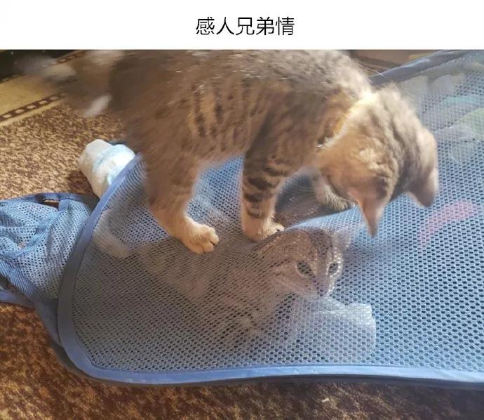 图片[13] - 【xizi被窝段子20191203】不要抱怨生活对你不公平 生活压根就不知道你是谁 - xizi