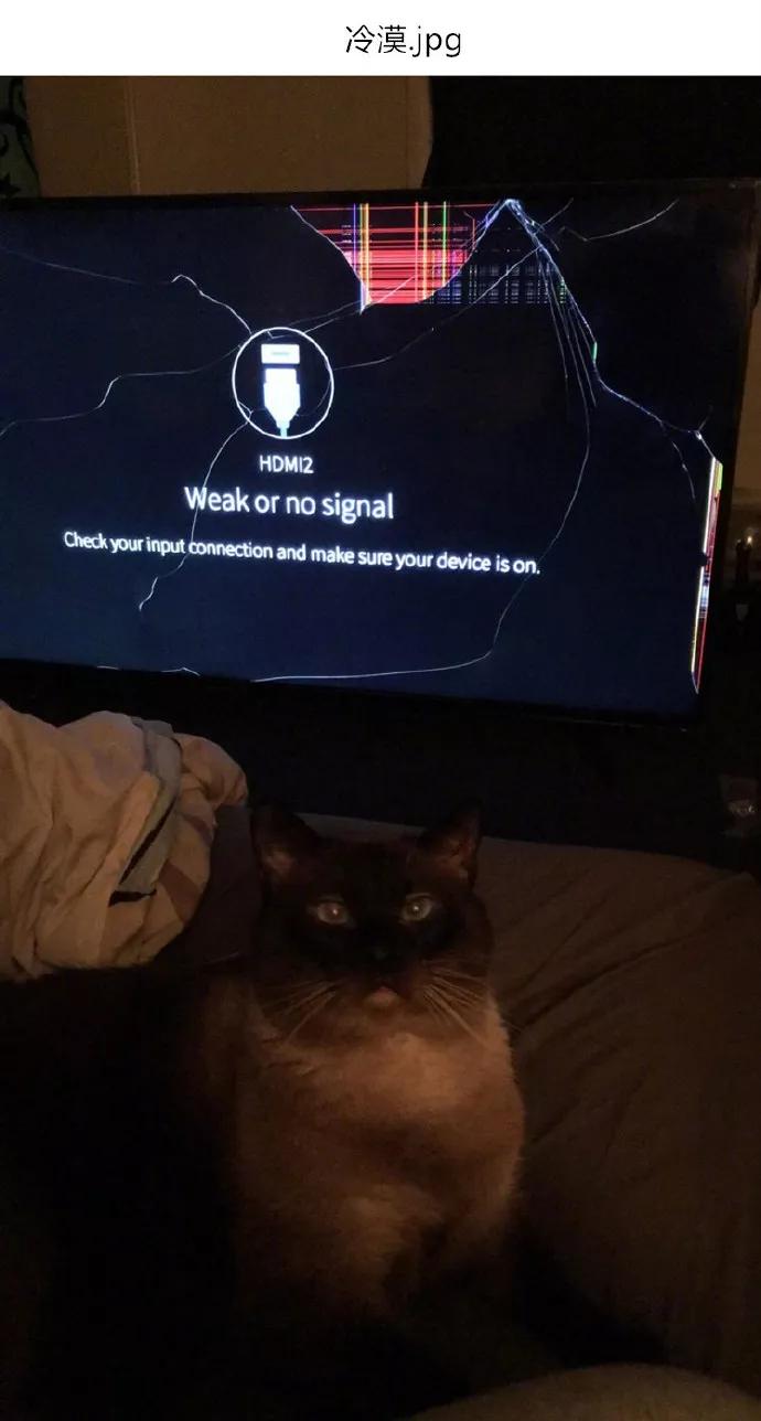 图片[17] - 【xizi被窝段子20191203】不要抱怨生活对你不公平 生活压根就不知道你是谁 - xizi