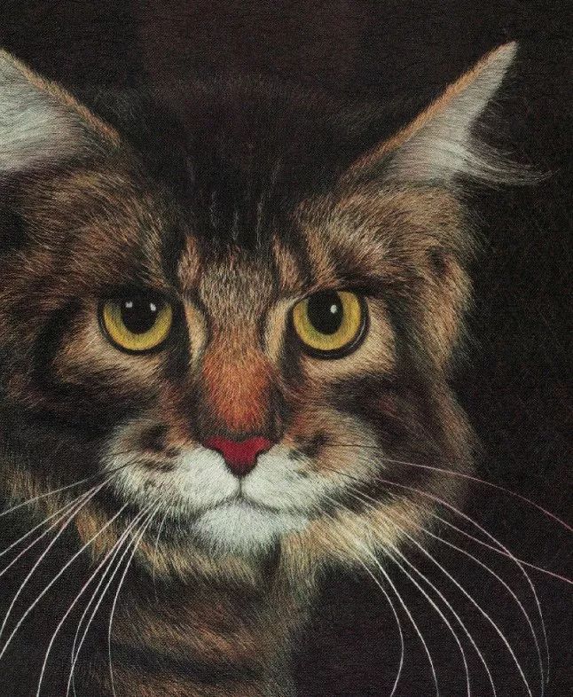 聚焦展商频频被选作国礼的ta魅力到底有多大