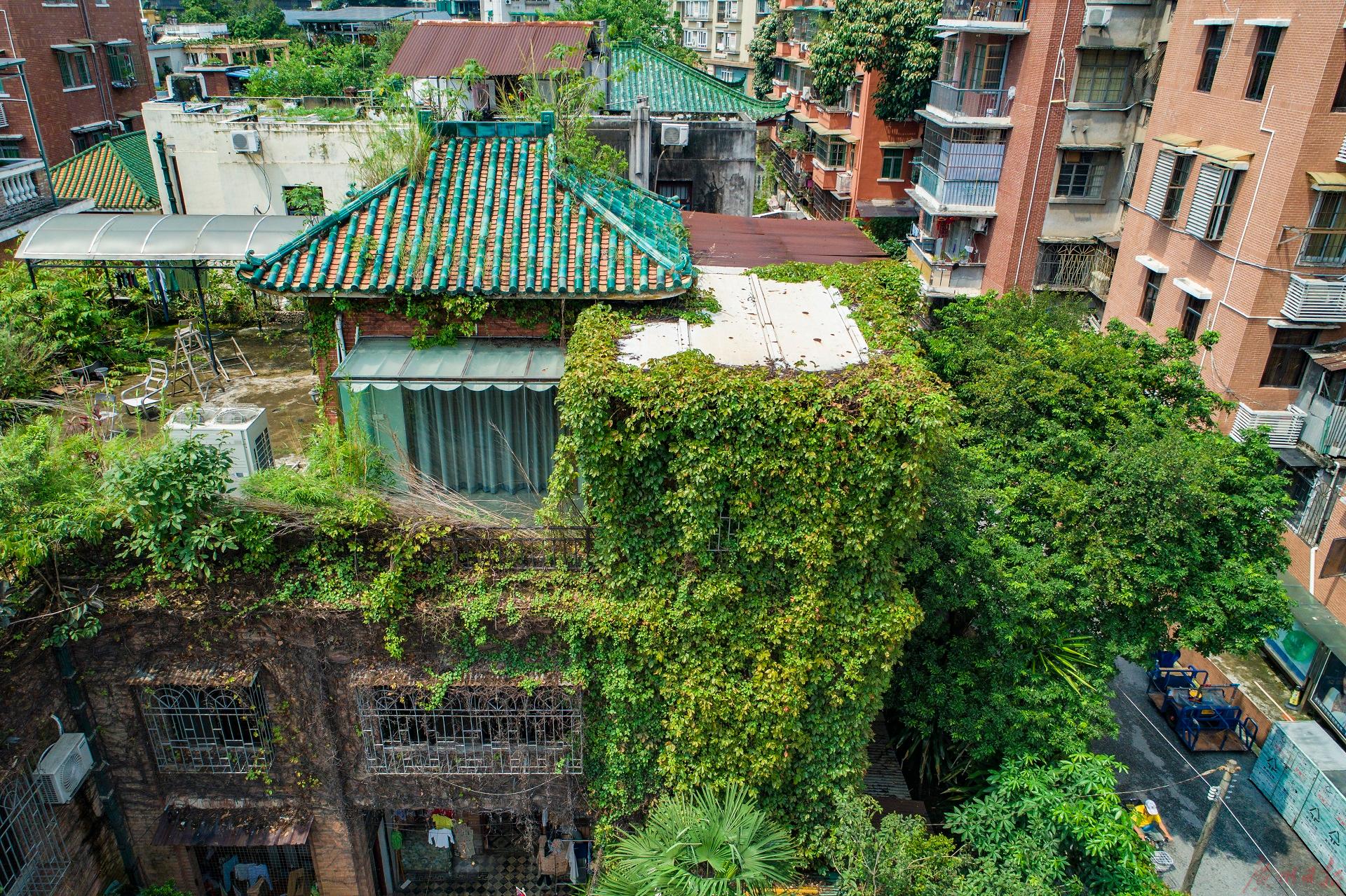 靓爆镜 | 空中花园