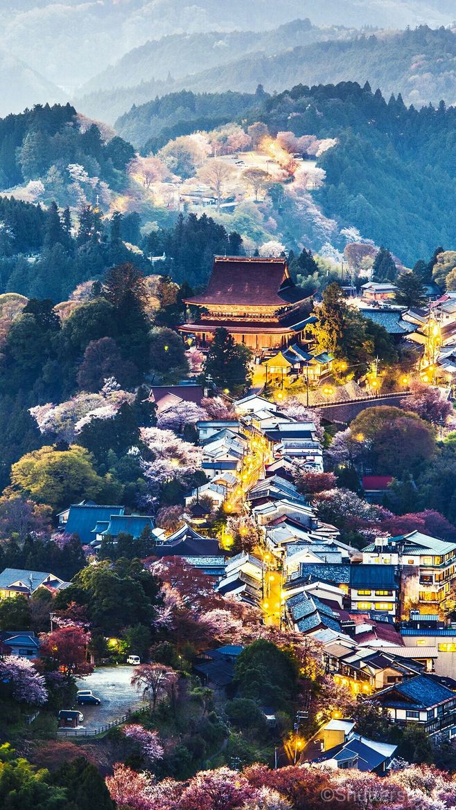 日本古都奈良缩小的长安城处处是汉字完全不用担心迷路