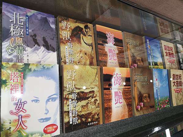 无名氏最广为人知的作品是中篇小说《北极风情画》和《塔里的女人》