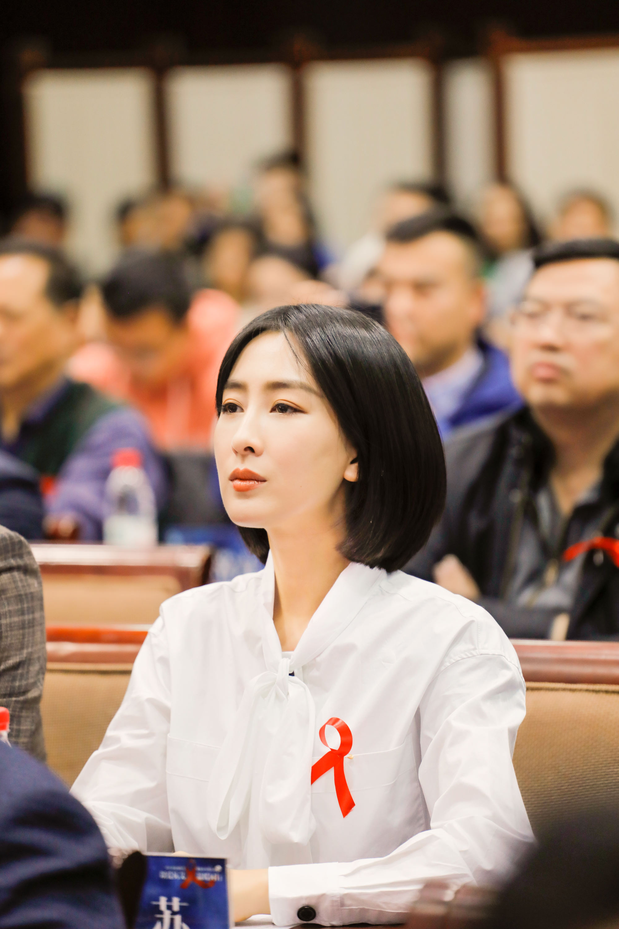 马苏出席2019世界艾滋病宣传教育活动 暖心发声呼吁以爱抗艾