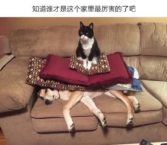 图片[14] - 【xizi被窝段子20191203】不要抱怨生活对你不公平 生活压根就不知道你是谁 - xizi