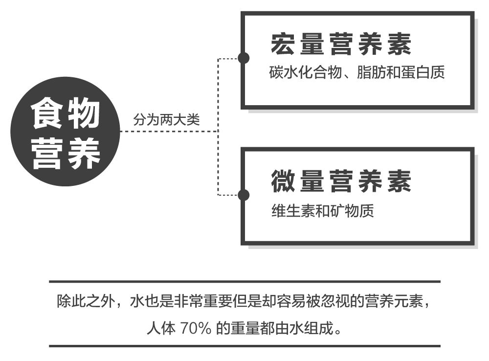 要实现这一点,我们不仅仅要关注热量,还需关注宏量营养素.