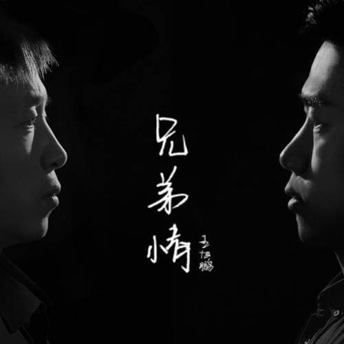 电影中的兄弟情让我们动容,现在这个物欲横流的社会,这种兄弟感情更是