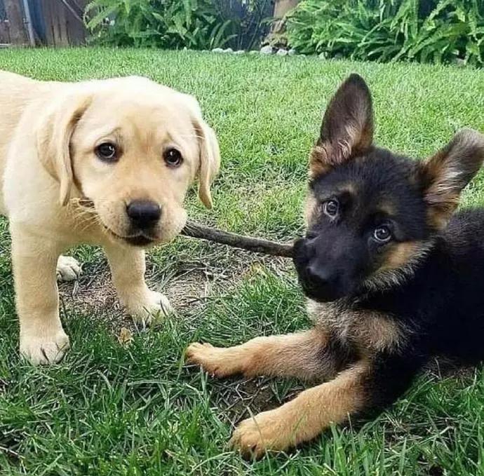 图片[33] - 【xizi被窝段子20191203】不要抱怨生活对你不公平 生活压根就不知道你是谁 - xizi