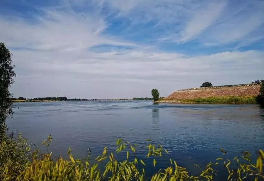 寻找孟津古渡口扣马访古