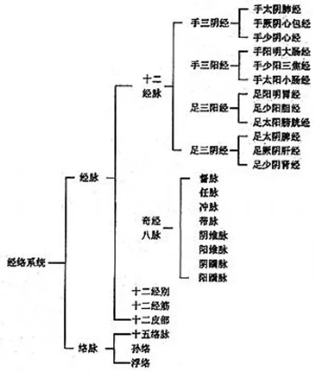 中醫人體十二經絡,基礎入門總結