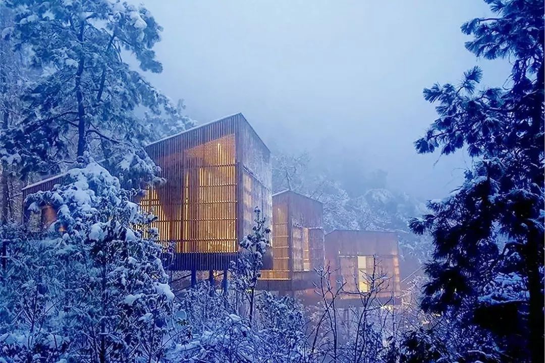 坐拥2500亩森野, 云顶温泉,树屋别墅, 躺看山峦与冬雪!