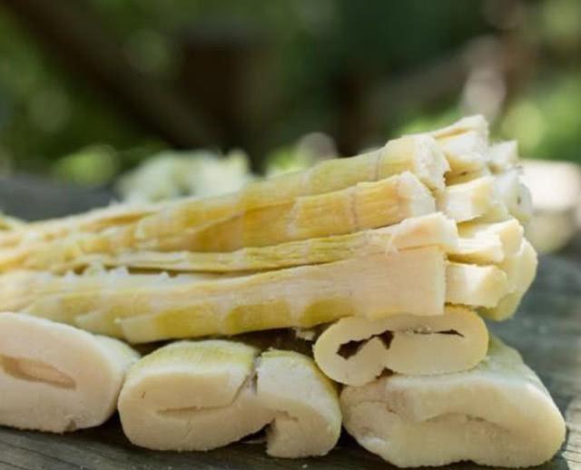 这种笋形状像羊尾,营养丰富吃着脆嫩鲜美,如今是浙江著名特产