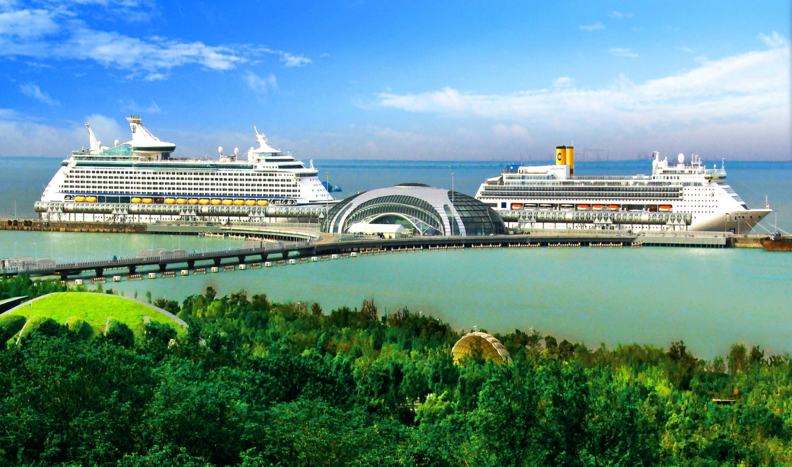 谋划邮轮产业配套布局,听听这个论坛怎么说_宝山